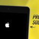 iPad Stuck After Update? Professional Repair Solutions.
